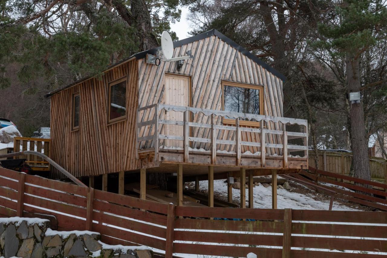 Pine Marten Bar Glenmore Treehouse Aviemore Exterior photo