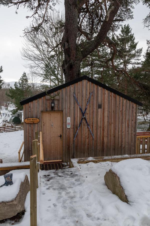 Pine Marten Bar Glenmore Treehouse Aviemore Exterior photo